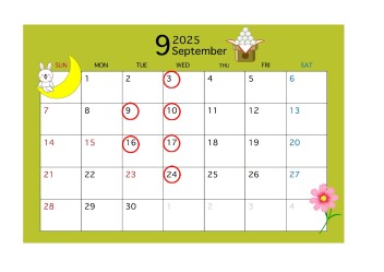 **定休日のご案内**